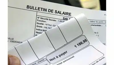 24000 euros brut en net : décodage salarial