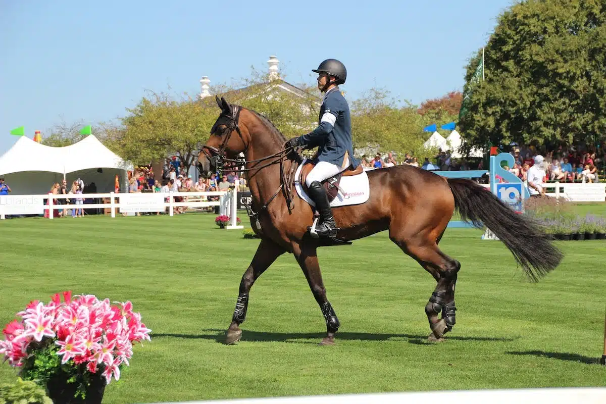 cheval assurance
